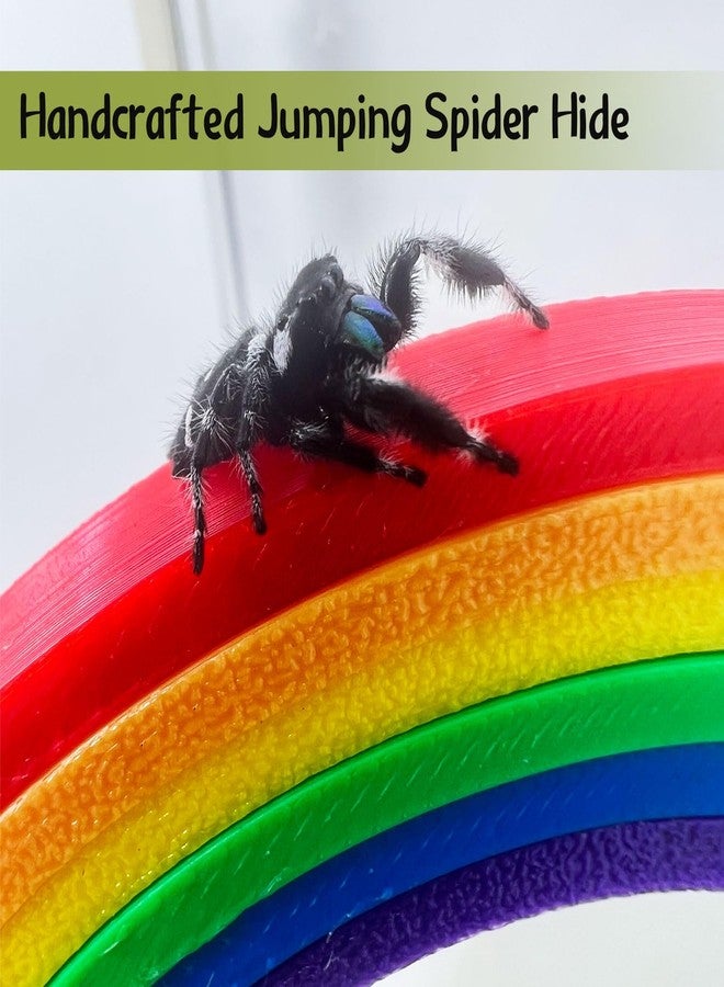 Daerky Jumping Spider Hidden Rainbow Bridge, Magnetic Jumping Spider Cloud Rainbow Platform, 3D Printed Spider Climbing Fence Accessories, Suitable for All Kinds of Small Insect Habitats (Small) - Image 5